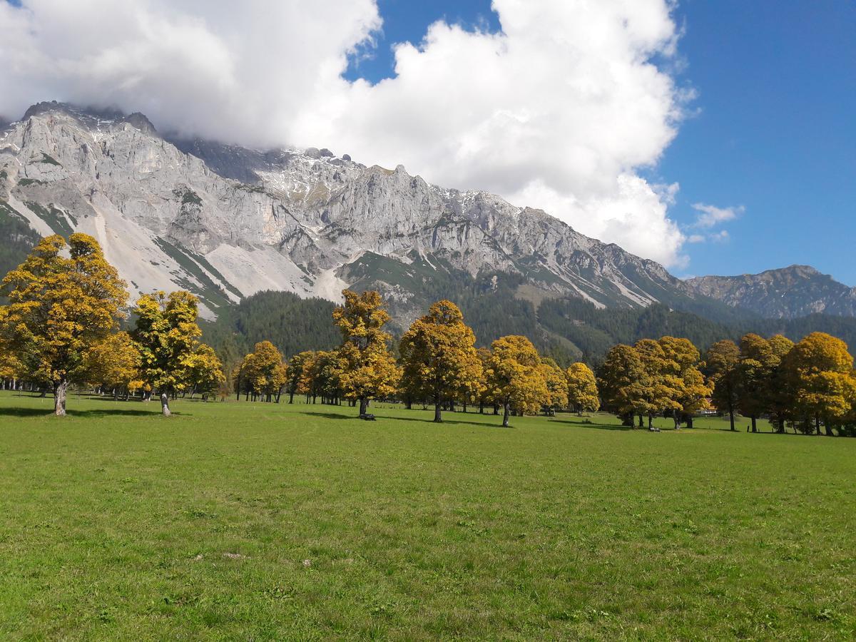 Appartement "Haus Lisa" In Ramsau Am Dachstein Exteriér fotografie